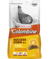 Success Corn